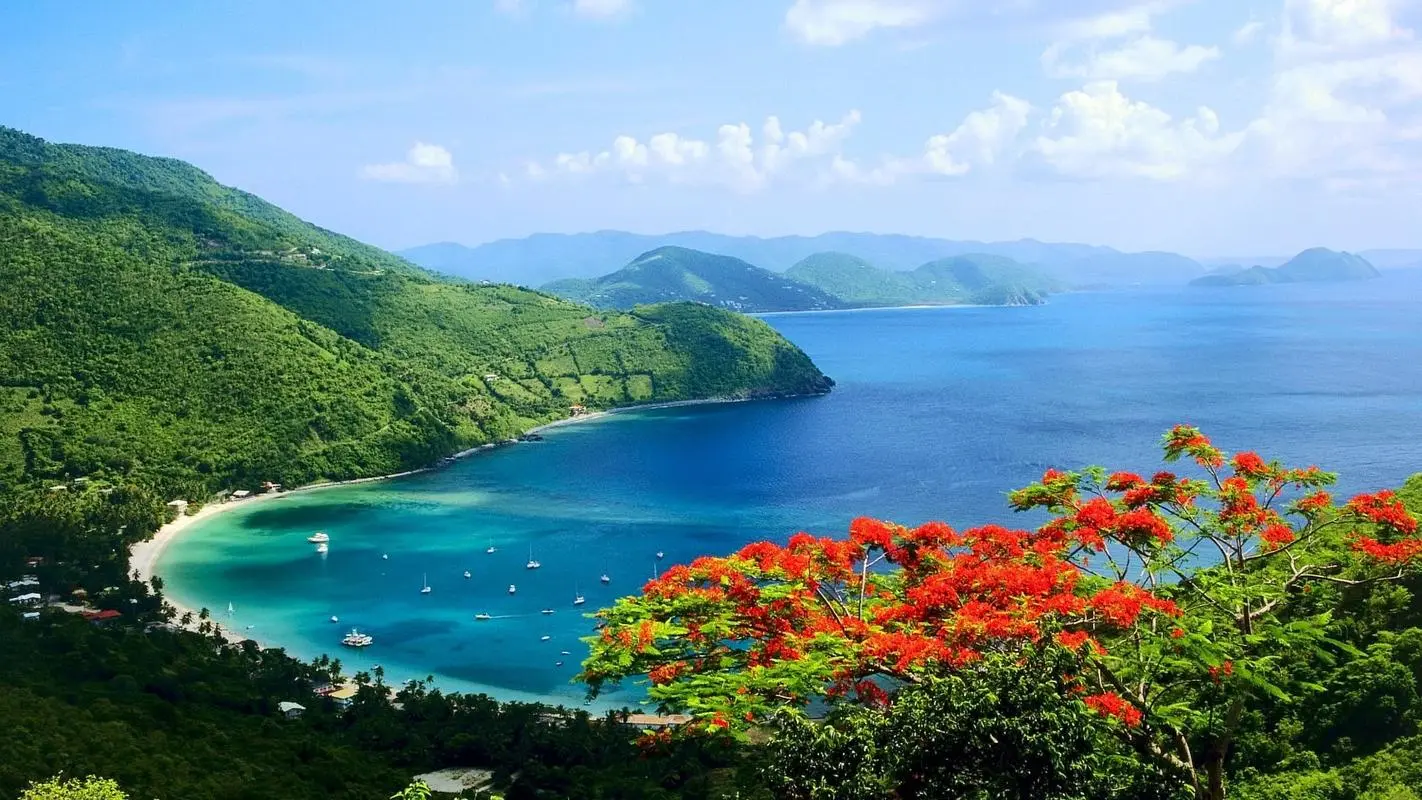 全自动高标准智能化